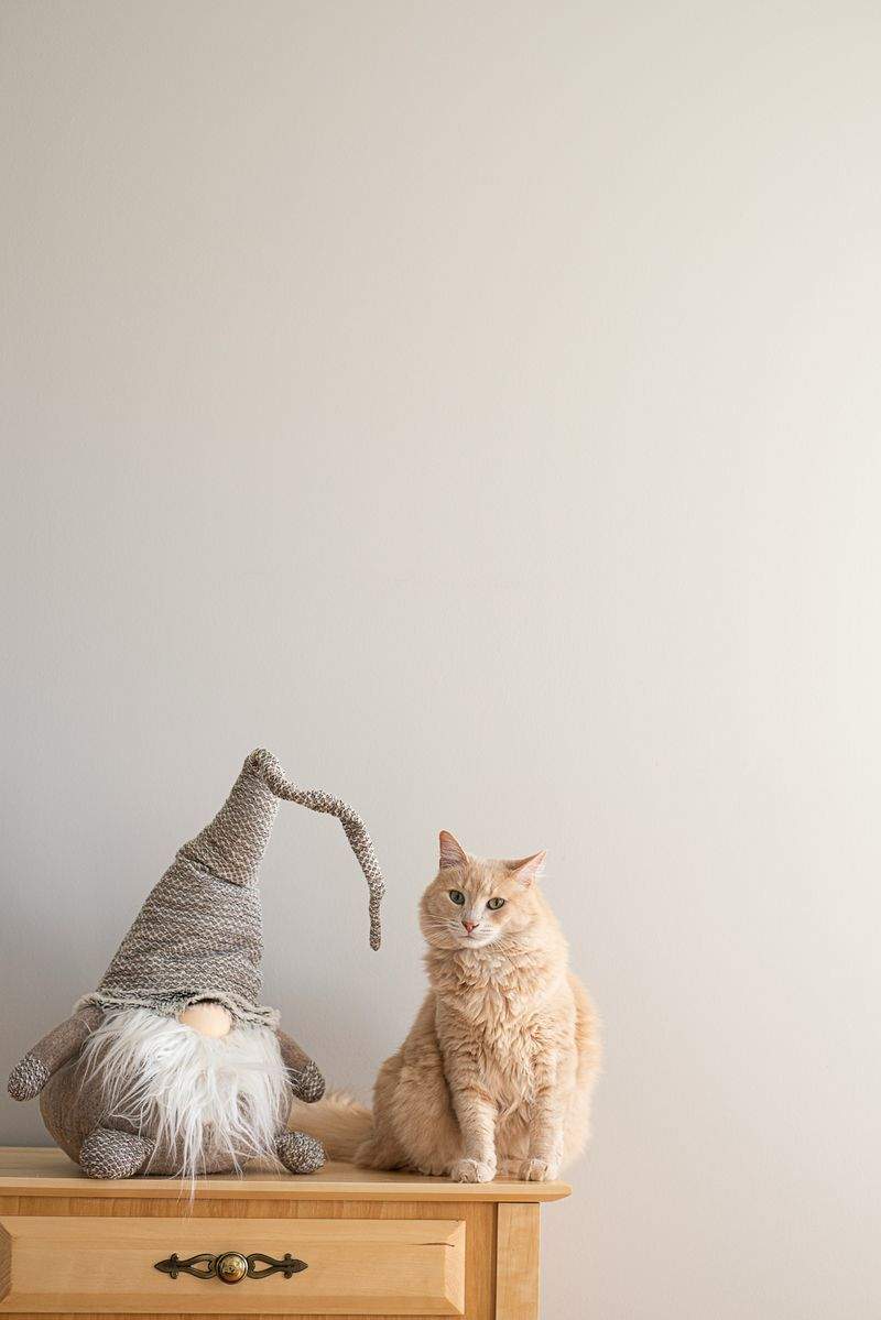 ねこ暮らしサポート株式会社 11